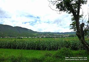 163 - Shaxi